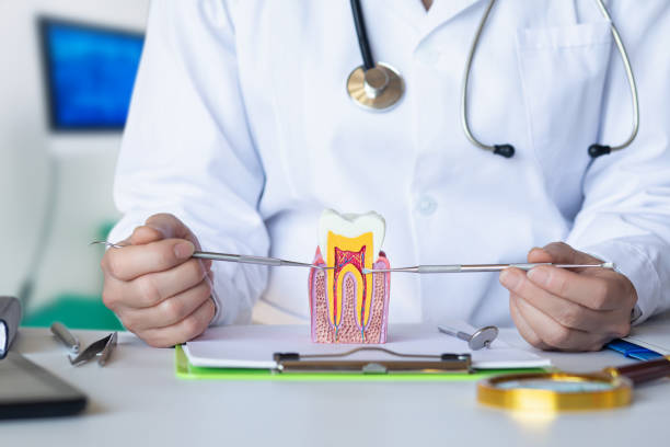 Best Emergency Broken Tooth Repair in Blplay, AL